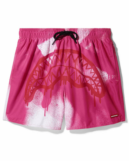 Sprayground DESIGN STORM SWIM SHORTS