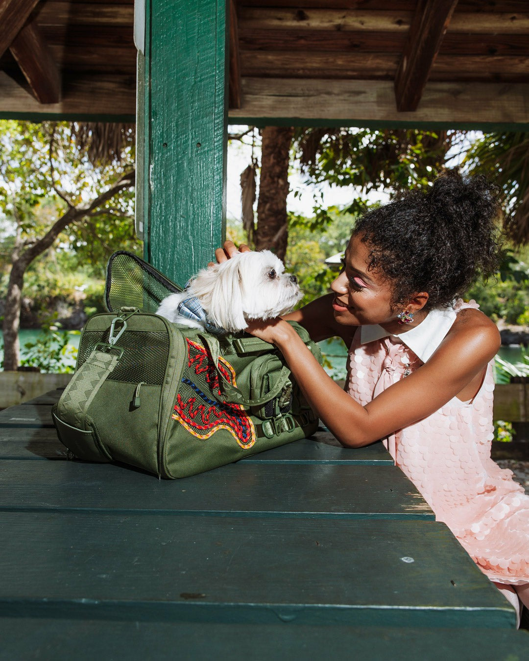 Sprayground WON'T STOP TILL THE TOP PET CARRIER