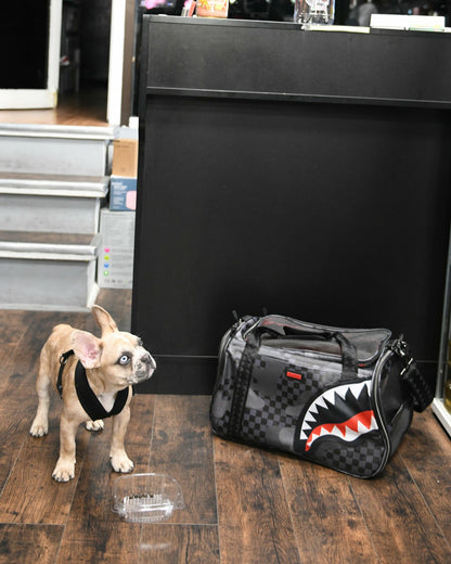 Sprayground 3AM PET CARRIER