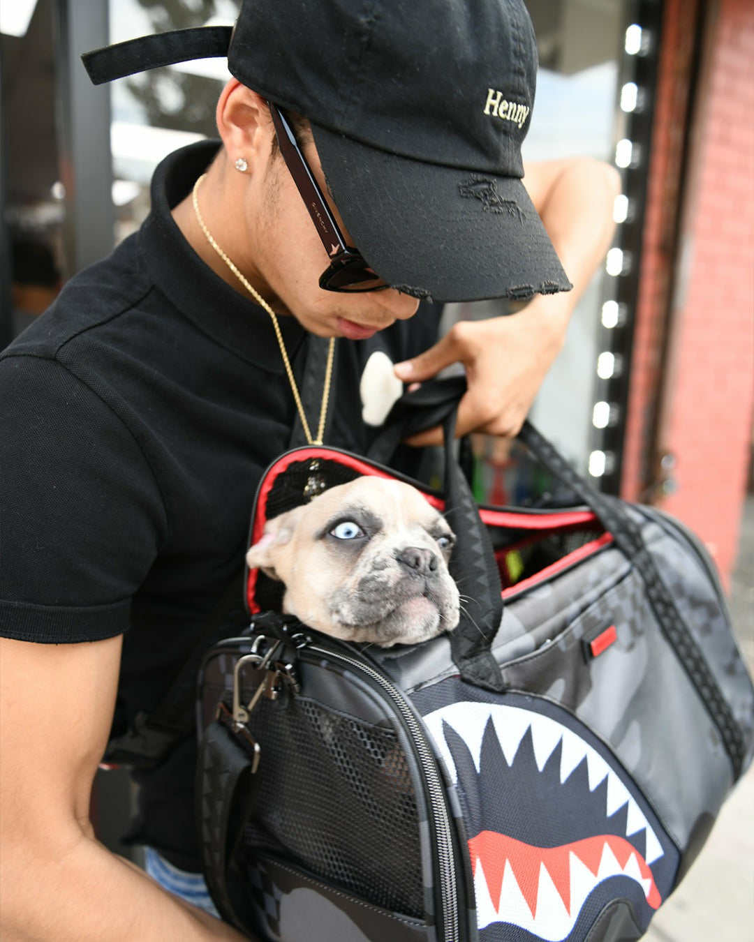 Sprayground 3AM PET CARRIER